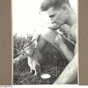 1943-08-13. NORTHERN AUSTRALIA. "ACW MARY" A PET WALLABY OF AN AIR FORCE UNIT SOMEWHERE IN NORTHERN AUSTRALIA. F/SGT. KENNETH BIGGS (R.A.F.) OF SOUTHAMPTON, ENGLAND WATCHES "MARY" HAVING HER LUNCH. (NEGATIVE BY H. DICK).